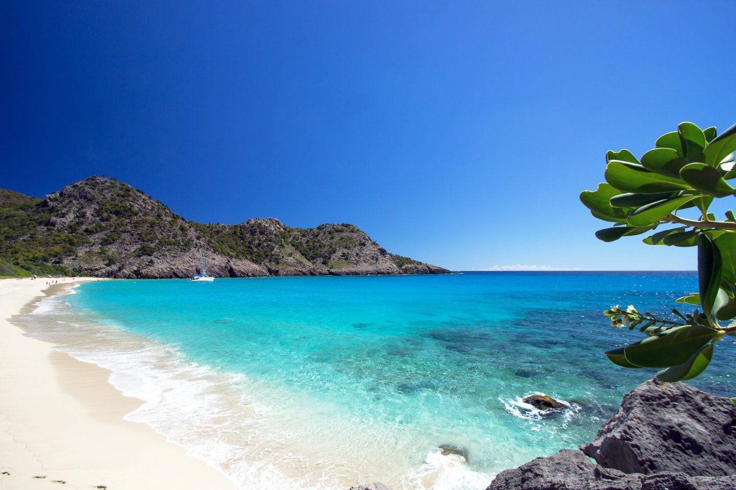 st-barth-plage-gouverneur-15-min.jpg