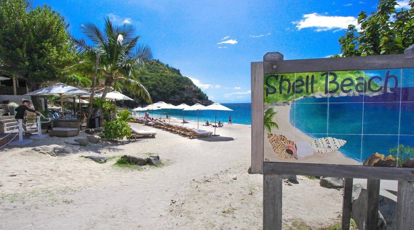 st-barth-plage-shell-01-min-0.jpg