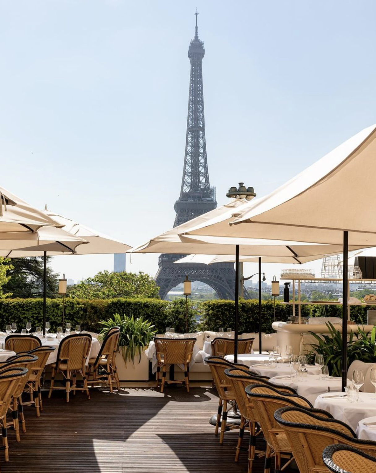 13-paris-la-girafe-restaurant-french-min.png